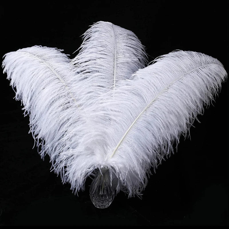 Natural White Ostrich Feathers For Crafts 6-26 Inch 15-65cm Bulk for Wedding Party Centerpieces Easter Gatsby Decorations Plumas