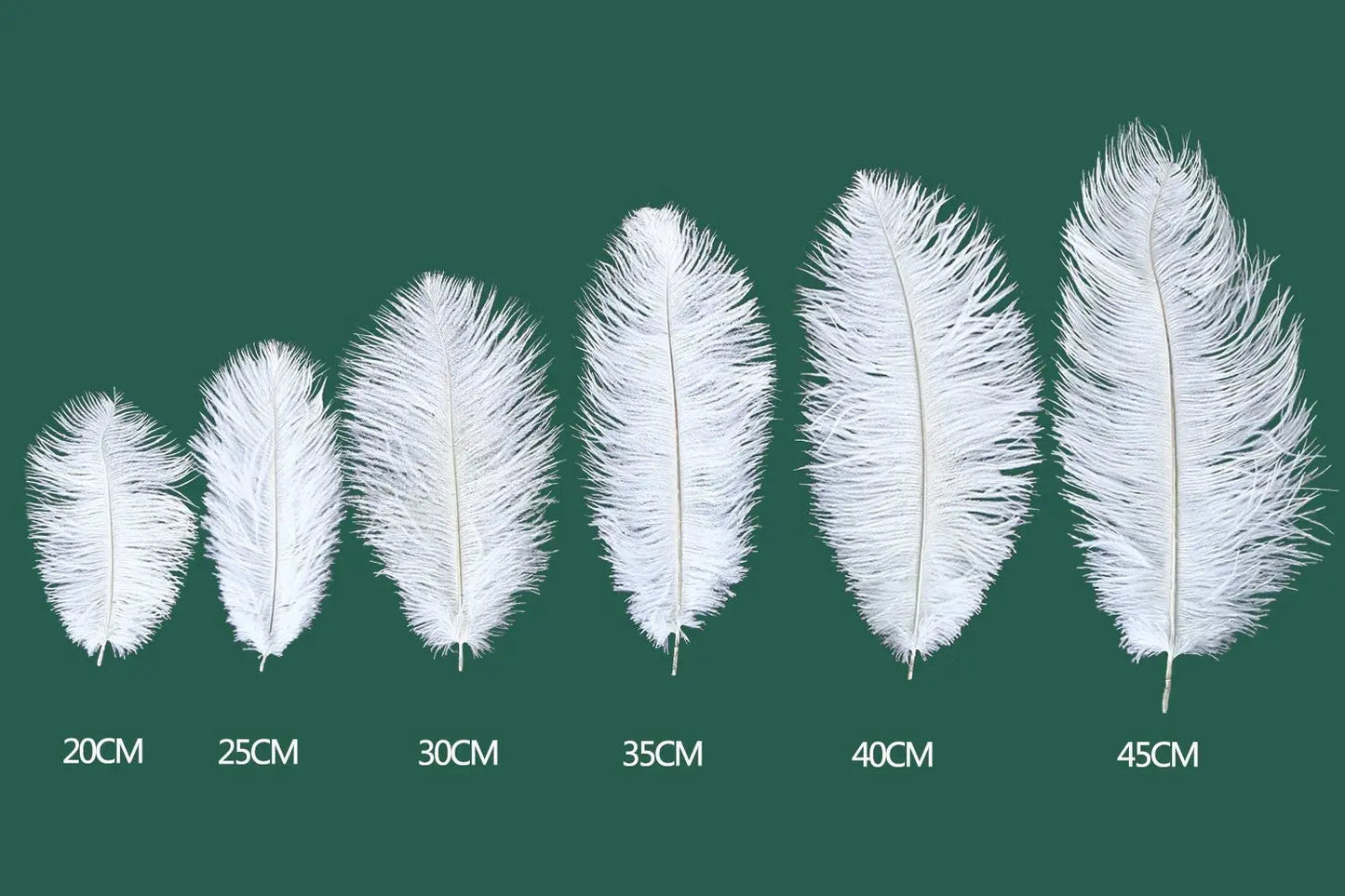 Natural White Ostrich Feathers For Crafts 6-26 Inch 15-65cm Bulk for Wedding Party Centerpieces Easter Gatsby Decorations Plumas