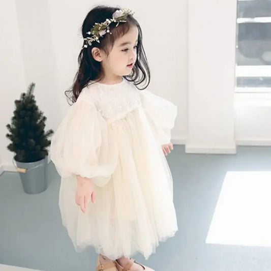 Women's Stylish Mesh Dress Baby Princess Gown Spring/autumn Children's Casual Dress Birthday Party Gown Fairy