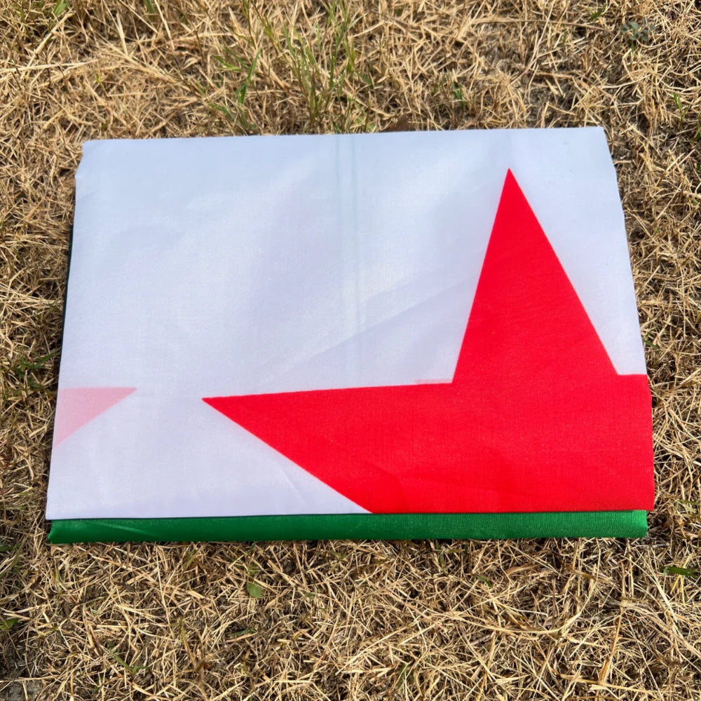 Syria Free flag hanging, high quality